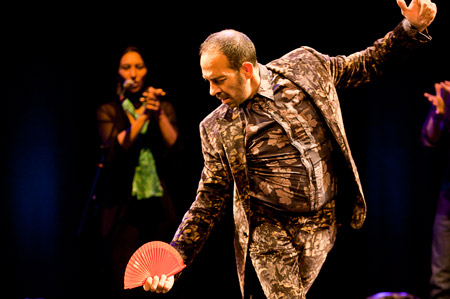 Flamenco 03