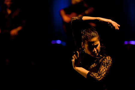 Flamenco 05