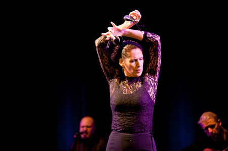Flamenco 09