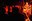 lambchop_15.jpg