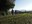 DSCN1262