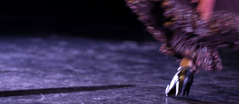 flamenco.jpg