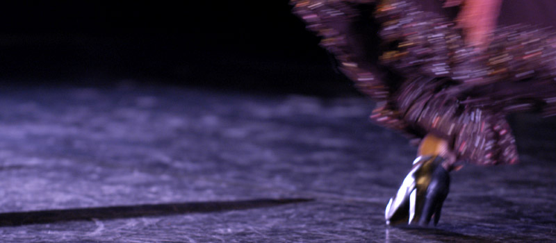 flamenco.jpg