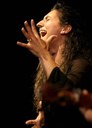arteFlamenco