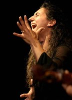 arteFlamenco