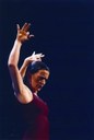 arteFlamenco