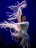 arteFlamenco