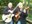Joe Beck - John Abercrombie Duo