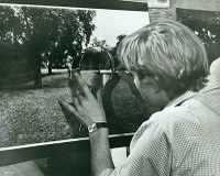 Filmreihe Antonioni – Blow up