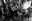 Crazy Listening aus Budapest – Little Cow
