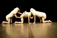 tanz ist Festival 6. bis 14. Juni 2008 – Kompanie Ayelen Parolin (Brüssel) – Troupeau / Rebaño - Österreichpremiere