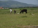 Peace Kicking Mission
