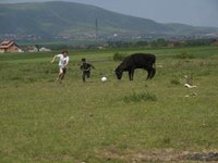 Peace Kicking Mission