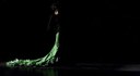 FLAMENCO Festival - Diferencias I