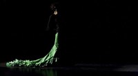 FLAMENCO Festival - Diferencias I