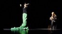 FLAMENCO Festival - Diferencias II