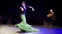 FLAMENCO Festival - Diferencias IV