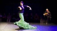 FLAMENCO Festival - Diferencias IV