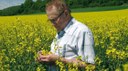 Percy Schmeiser: David gegen Monsanto