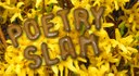 Poetry Slam - Kampf der Dichter