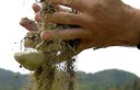 Humus – Die vergessene Klimachance
