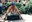 Hommage an Christoph Schlingensief - United Trash
