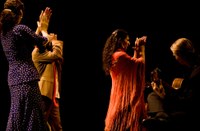 tanz ist Festival für Flamencokunst - Cuadro Flamenco