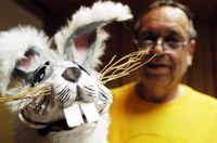 Schneehase Nagobert & der klingende Adventkalender