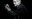 Wolfgang Puschnig "For The Love Of It"