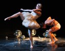 tanz ist Festival - Iceland Dance Company - The Swan