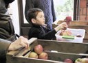 Filmreihe Bio Austria: Good Food Bad Food - Anleitung für eine bessere Landwirtschaft