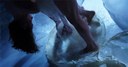 tanz ist Festival – Liquid Loft / Chris Haring / Michel Blazy – The Perfect Garden