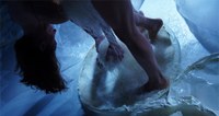 tanz ist Festival – Liquid Loft / Chris Haring / Michel Blazy – The Perfect Garden