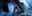 tanz ist Festival – Liquid Loft / Chris Haring / Michel Blazy – The Perfect Garden