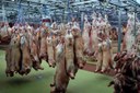 Ernährung betrifft uns alle! – LoveMEATender