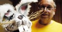 Gauls Kinderlieder: Schneehase Nagobert & der klingende Adventkalender