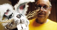 Gauls Kinderlieder: Schneehase Nagobert & der klingende Adventkalender