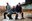 Jazz& – Marc Ribot & Ceramic Dog