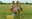Sommerfrische – Moonrise Kingdom