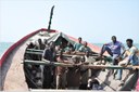 La Pirogue