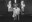 Peter Madsen and CIA play Silent Movies – L´Inhumaine