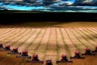 Hunger.Macht.Profite.7 – Die Jagd nach Land – Das globale Geschäft mit fruchtbarem Boden
