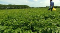 Humus – Die vergessene Klimachance