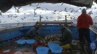 Lampedusa im Winter