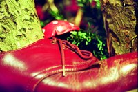 Theater Gundberg: Ein Baum geht durch den Wald