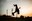 tanz ist Festival: Shake The Dust
