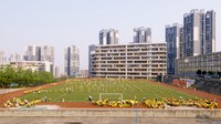 The Human Scale