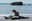 Swiss Army Man