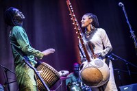 Sona Jobarteh