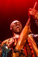 Bassekou Kouyate & Ngoni Ba